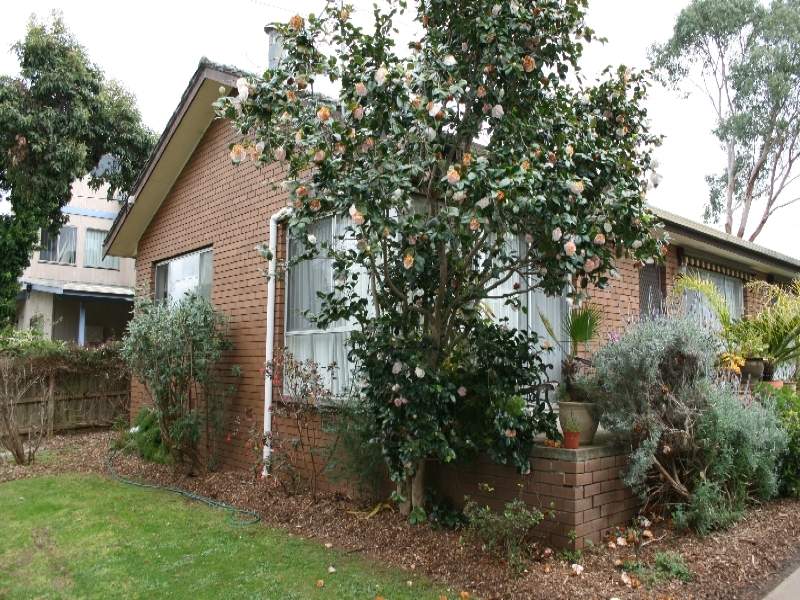 30 Steele Street, Cowes, VIC 3922