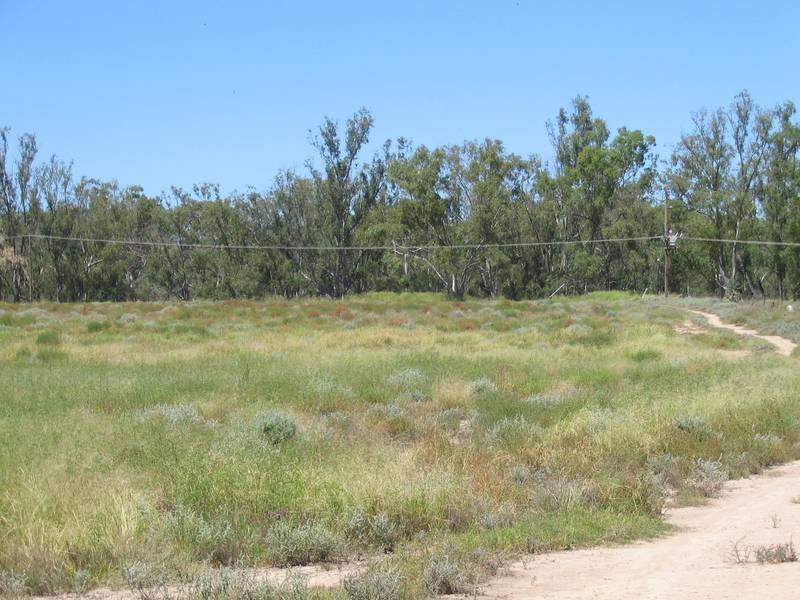 Sold Property Prices & Auction Results in Whetstone, QLD 4387 Pg. 14