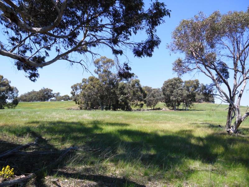 91 O'Connell Road, Wandering, WA 6308 Property Details