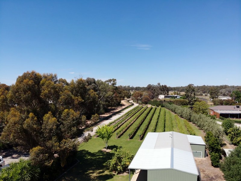 153 East Barham Road, Barham, NSW 2732
