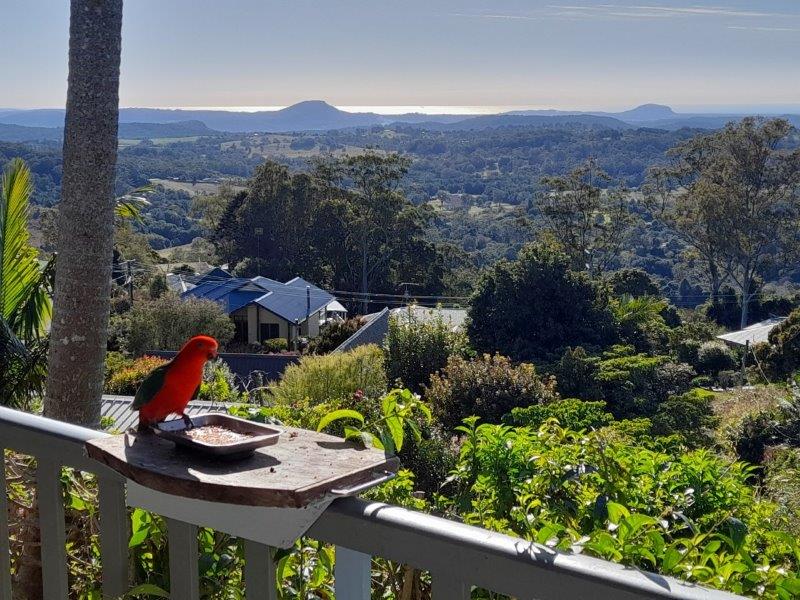 17 Crystal Street, Mapleton, Qld 4560 - Property Details