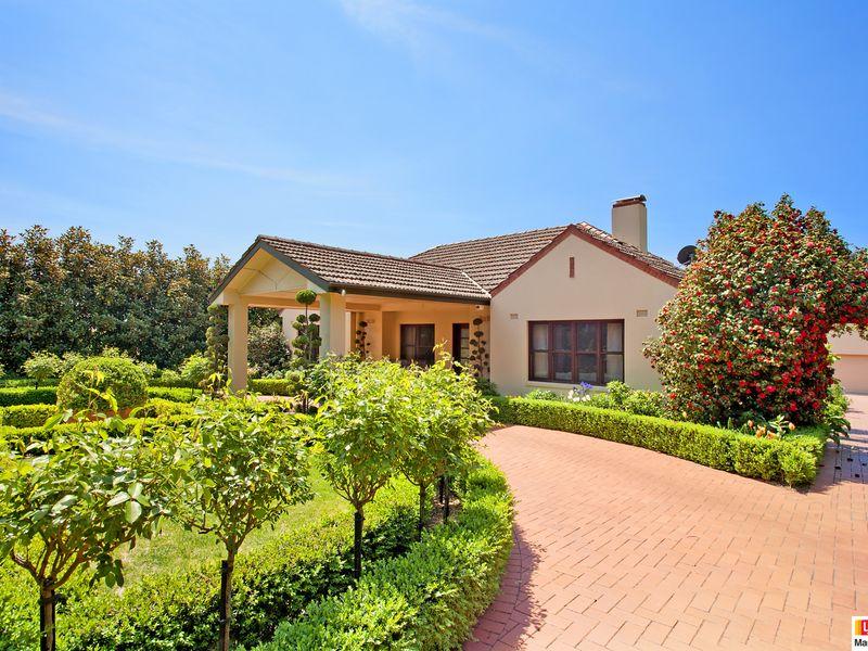 63 Captain Cook Cres, Griffith, ACT 2603