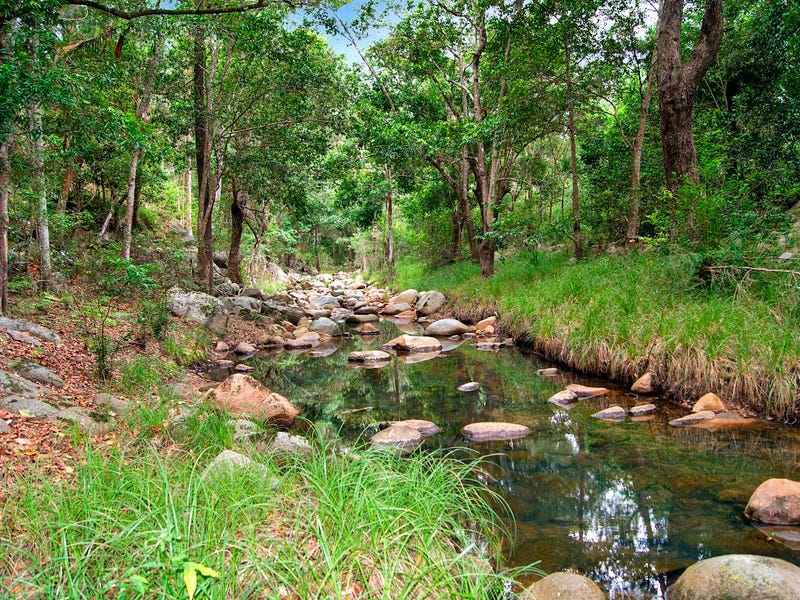 440 Cedarvale Road, Sandy Creek, QLD 4515