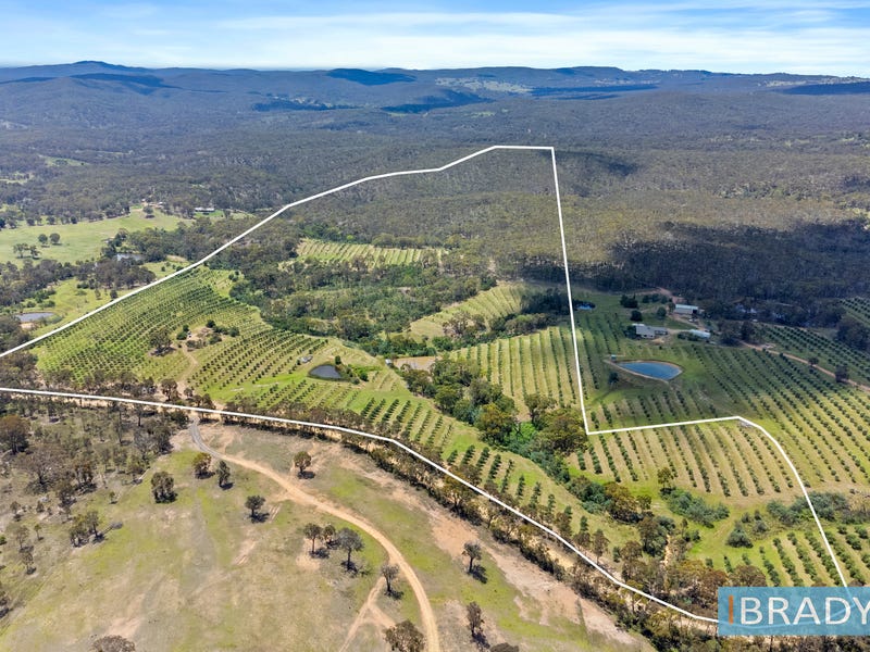 503 Marked Tree Road, Gundaroo, NSW 2620