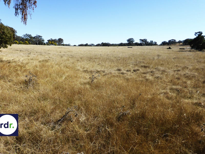 2361 Kings Plains Road, Sapphire, NSW 2360