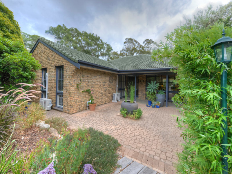 29 Fernilee Avenue, Tea Tree Gully, SA 5091