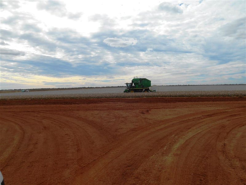 Lot 1 Roto Road, Hillston, NSW 2675 Property Details