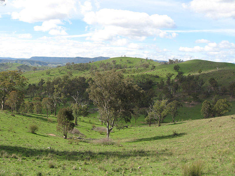 1667 Ganbenang Road, Ganbenang, NSW 2790 - realestate.com.au