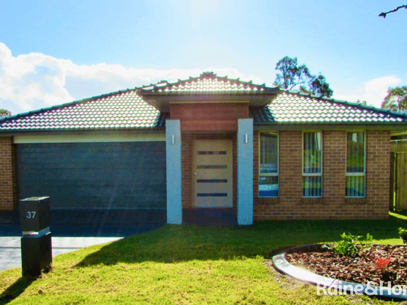 37 Rockmaster Street, Chisholm, NSW 2322 House for Rent realestate