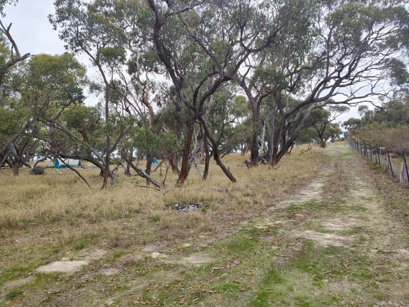 Real Estate & Property for Sale in Padthaway, SA 5271