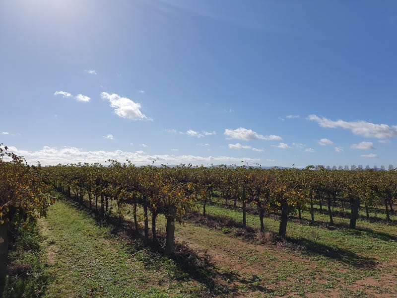 Farm 548C Bilbul Road, Bilbul, NSW 2680 Property Details