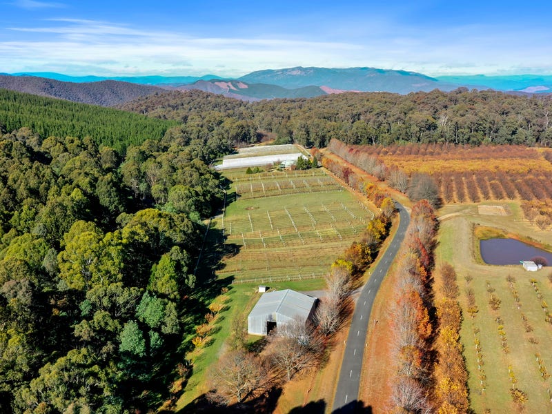 507 MyrtlefordStanley Road, Stanley Via, Myrtleford, Vic 3737 House