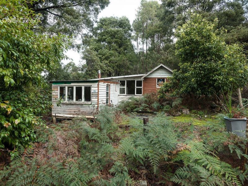 290 Dial Road, Penguin, TAS 7316
