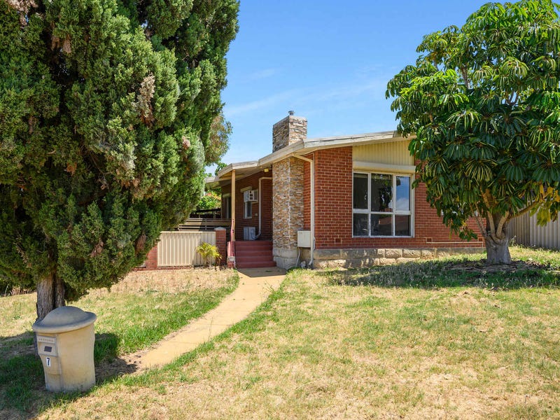 7 Carmody Street, Hamilton Hill, WA 6163