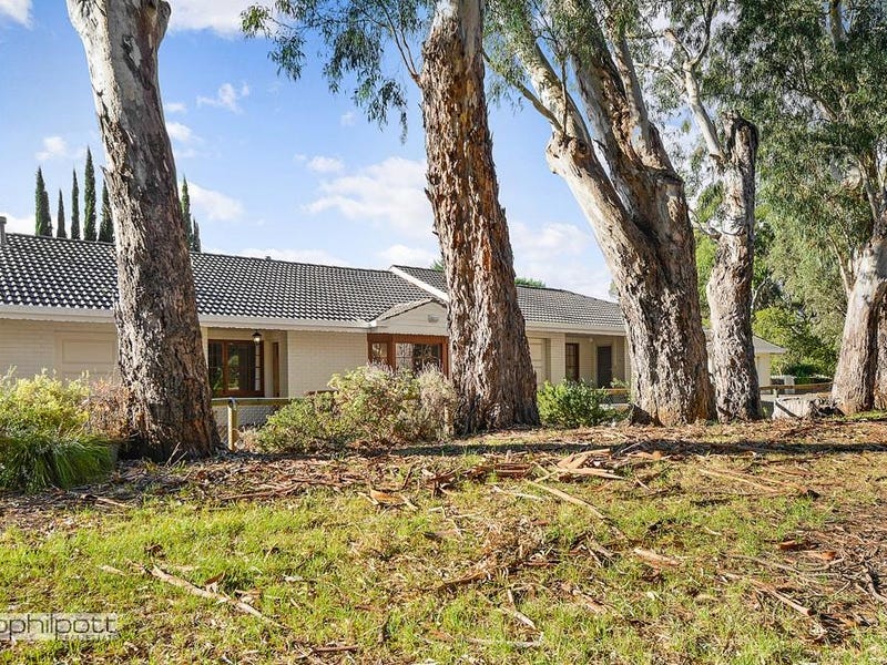 4/38 Freeman Avenue, Tranmere, SA 5073 Property Details