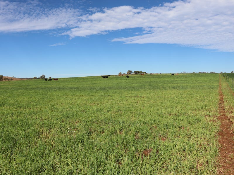 Real Estate for Sale in QLD Pg. 59