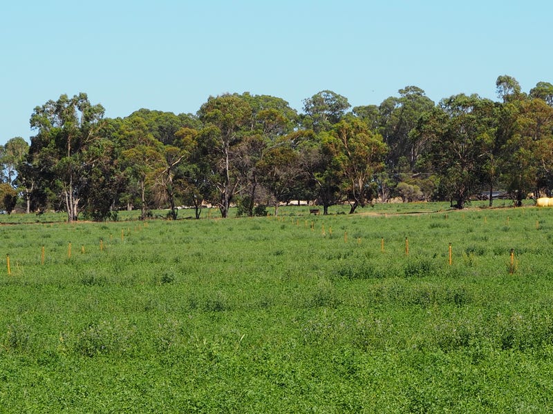 596 Ludlow Road N, Forrest Beach, WA 6271