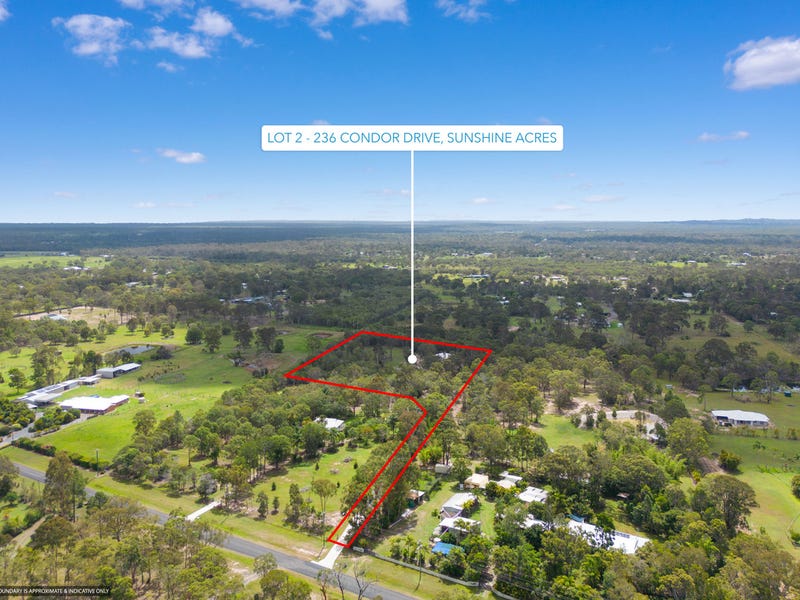 230 Condor Drive, Sunshine Acres, QLD 4655 - realestate.com.au