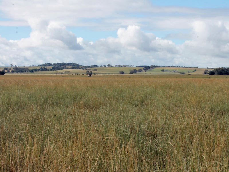 60 Mckays Road, Irrewarra, VIC 3249