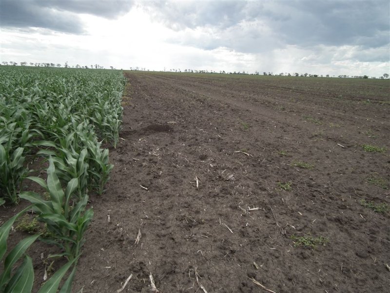 289 Tates Road, Bowenville, QLD 4404