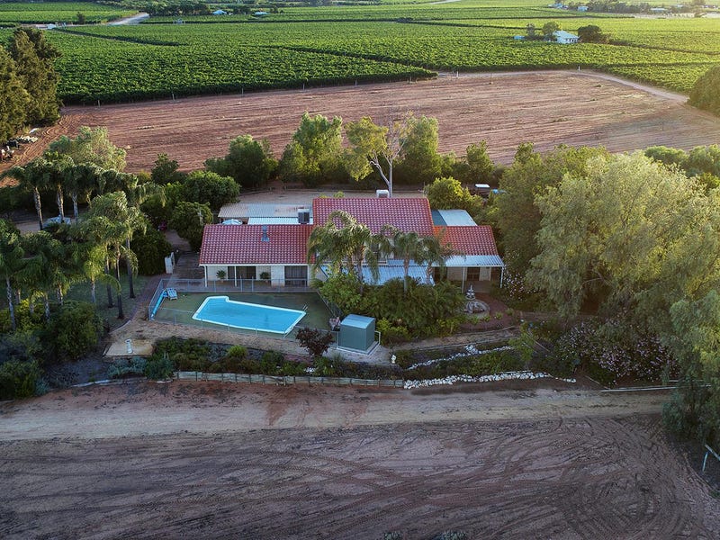 17238 Sturt Highway, Barmera, SA 5345