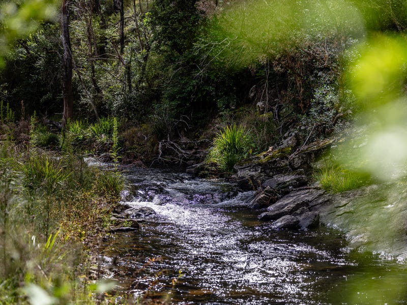 Rural properties for Sale in Taree Greater Region, NSW Pg. 3