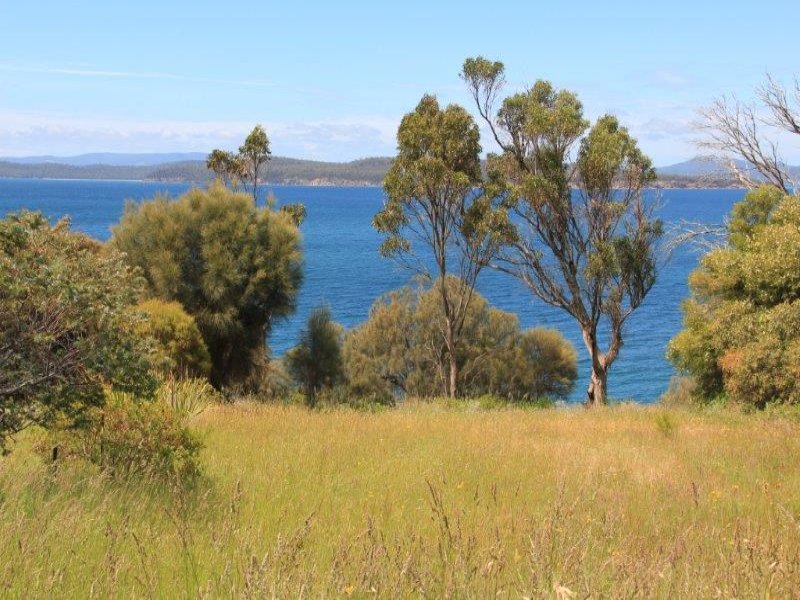 27 Linden Road, Primrose Sands, TAS 7173 - realestate.com.au