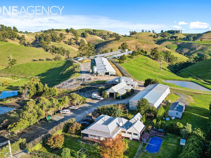 641 Mountain Viewmcdonalds Track, Mountain View, VIC 3988 realestate