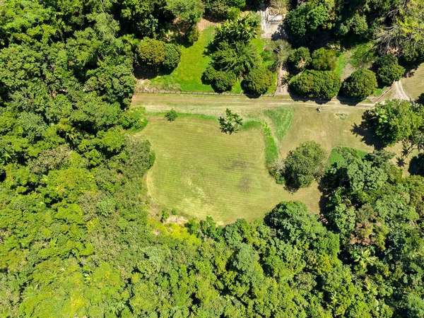 162 The Rocks Road, Redlynch, QLD 4870 - realestate.com.au