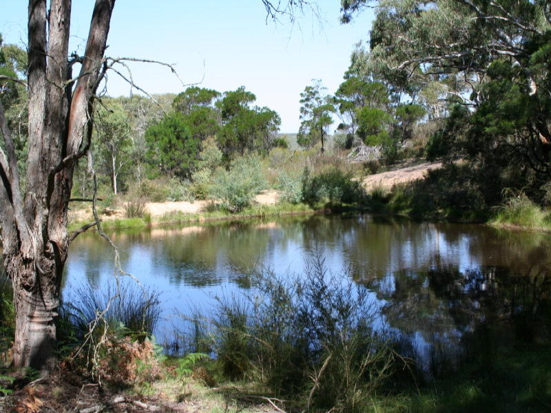 Nerriga Road, Braidwood, NSW 2622 Property Details