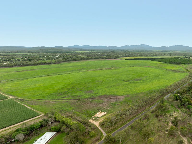 167 Tinaroo Creek Road, Mareeba, Qld 4880 Other for Sale realestate