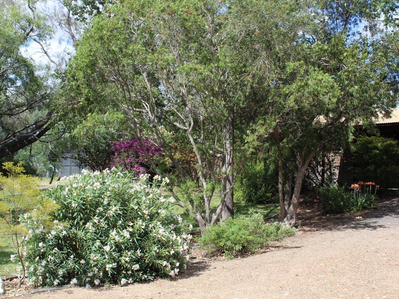 41 Tranquility Road, Moree, NSW 2400 Property Details