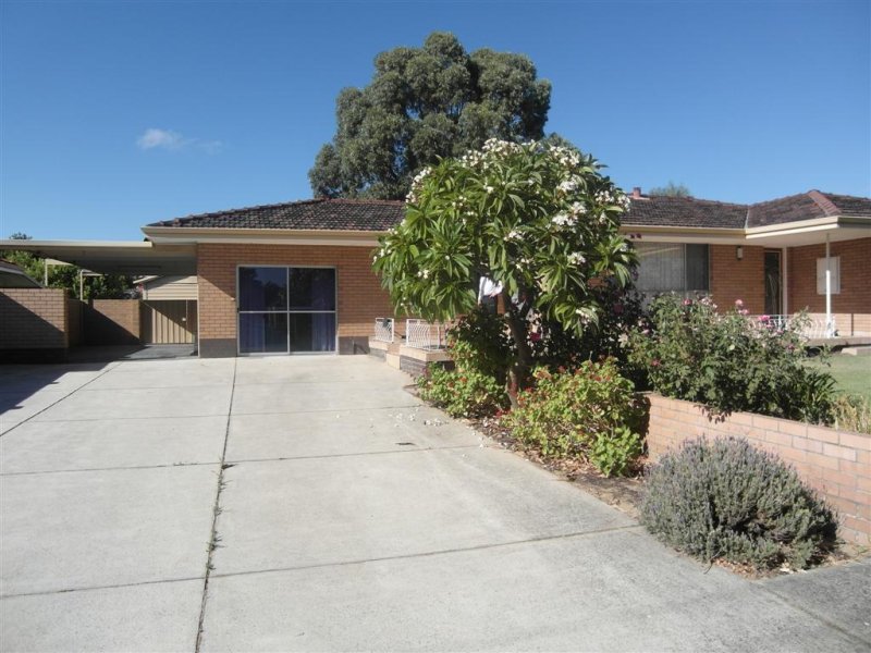 102 Morley Drive, Yokine, WA 6060 Property Details