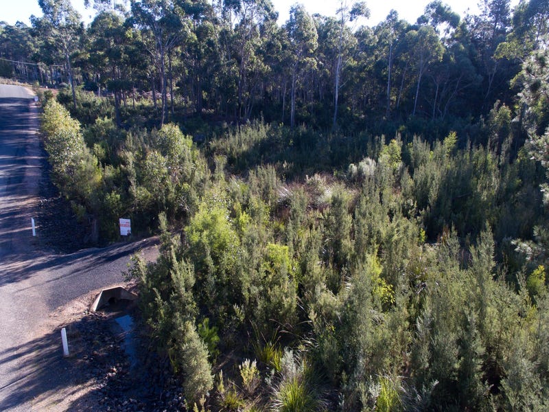 29 Harris Road, Stony Rise, TAS 7310
