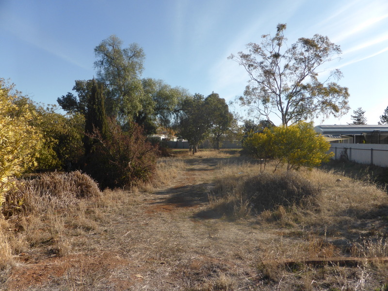 50 Boori Street, Peak Hill, NSW 2869