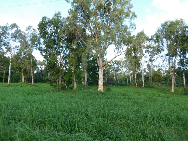 398 Riley Road, Cape Cleveland, QLD 4810