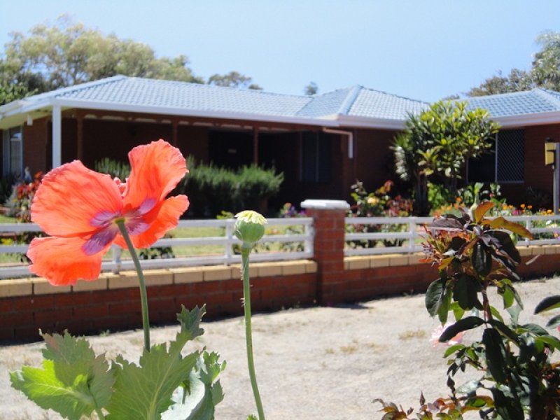 50 Strickland Street, Spalding, WA 6530 Property Details