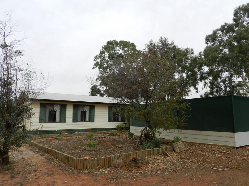 40 Wilkinson Road, Loveday, SA 5345