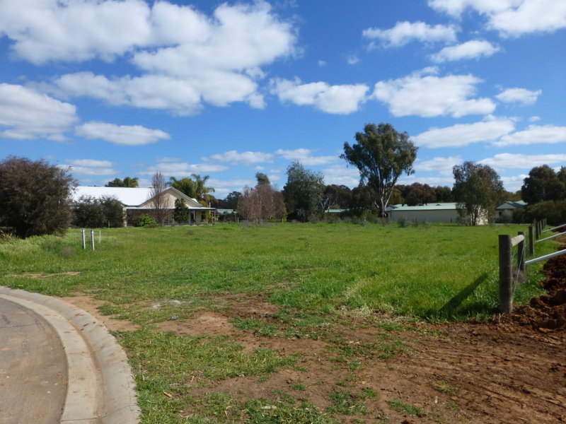 10 Silver Gum Place, Moama, NSW 2731