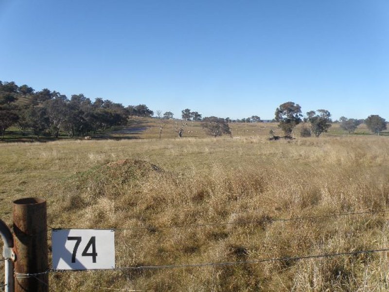 74 Dowling Drive, Murringo, NSW 2586