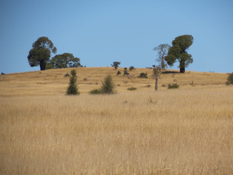 6 TB82, 1388 Bexhill Road, Tambo, Qld 4478 Property Details