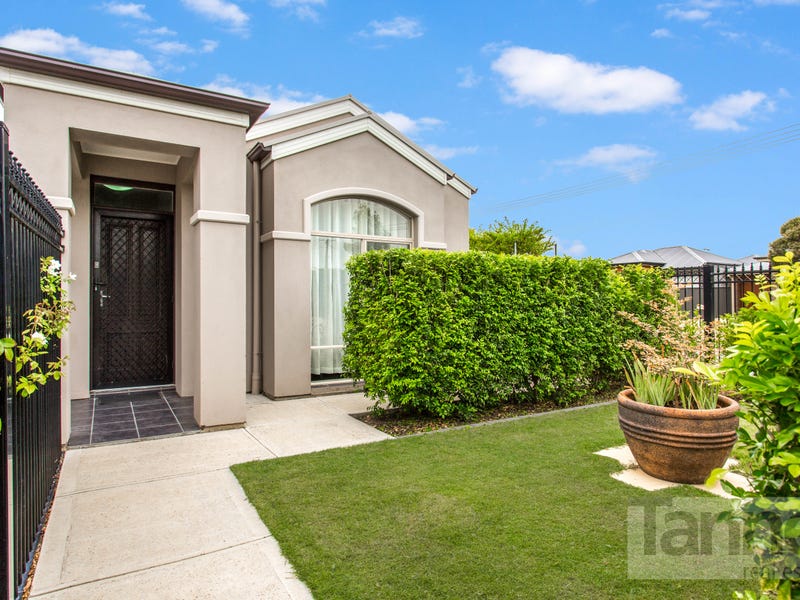 59 Thirza Avenue, Clovelly Park, SA 5042