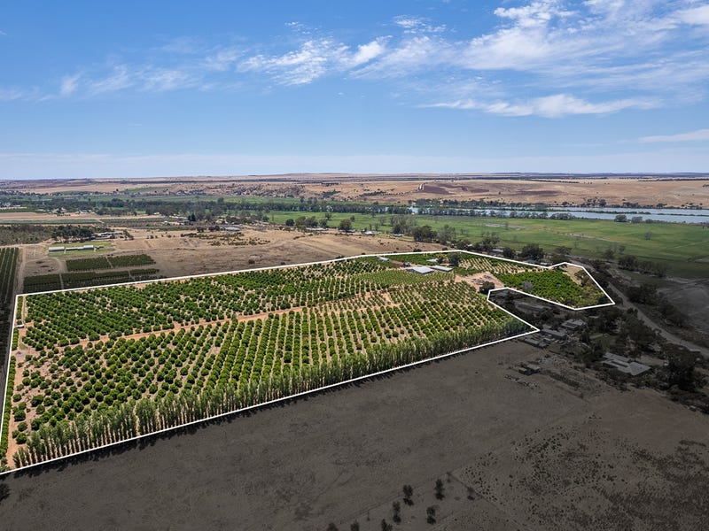 347B North Bokara Road, Mypolonga, SA 5254 House for Sale