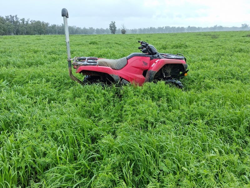 Forbes address available on request Cropping for Sale 700249236