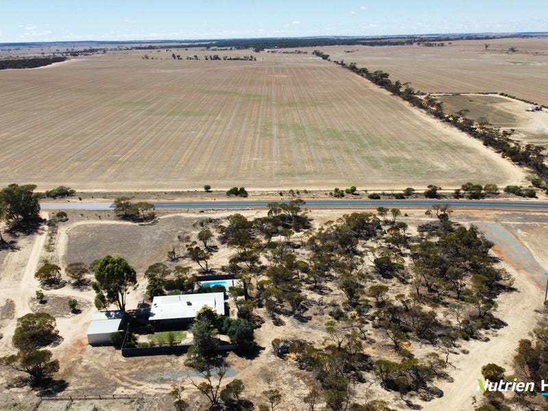 4417 Bruce RockMerredin Road, Merredin, WA 6415 House for Sale