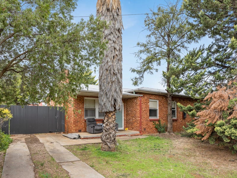 39 Wilkins Road, Elizabeth Downs, SA 5113