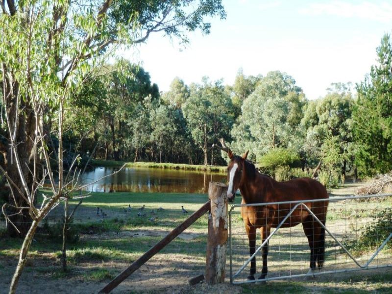 154 Weeroona Drive, Wamboin, NSW 2620 - Property Details