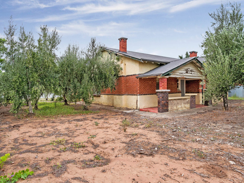 20 Dew Street, Mile End, SA 5031