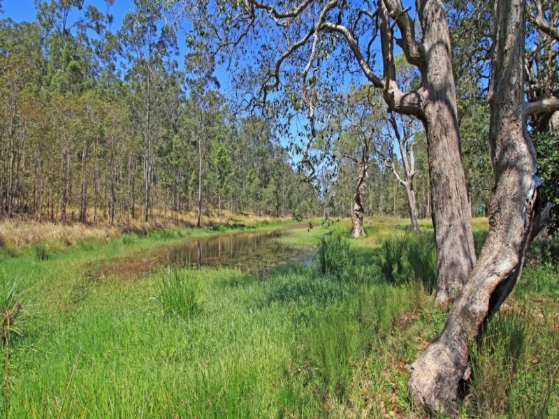 Lots 9 & 10 Ainsworth Road, LEEVILLE via, Casino, NSW 2470 Property