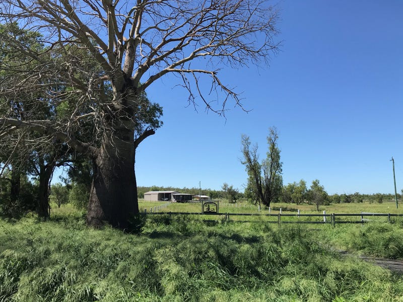 110 Mills Road, Gogango, Qld 4702 - Property Details
